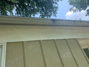 Before & After Gutter Cleaning in Dallas, TX (1)