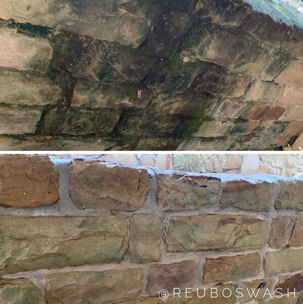 Before and After Algae Removal Services in Dallas, TX (1)