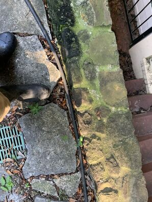 Before and After Pressure Washing Services in Irving, TX (1)