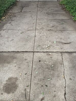 Before and After Pressure Washing Services in Plano, TX (1)